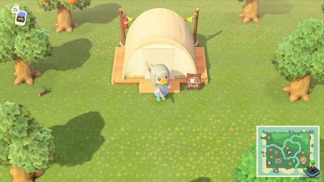 Animal Crossing New Horizons: Camping, como desbloqueá-lo?