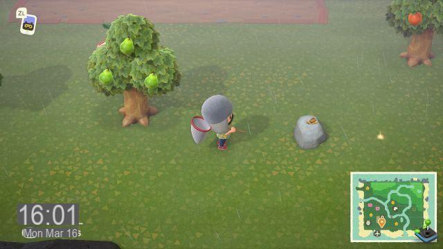 Animal Crossing New Horizons: Insetti, come usare la rete, guida e mancia