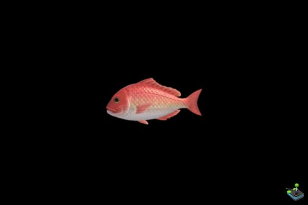 Snapper in Animal Crossing: New Horizons, where to find it?