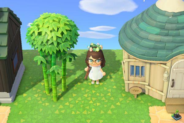 Bambú primaveral joven, todos los planes DIY en Animal Crossing: New Horizons
