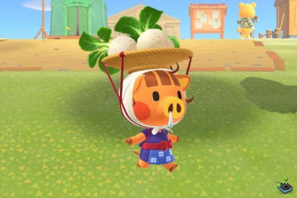 The Online Turnip Course in Animal Crossing New Horizons