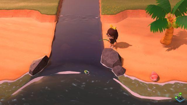 Foci dei fiumi, cos'è in Animal Crossing: New Horizons?