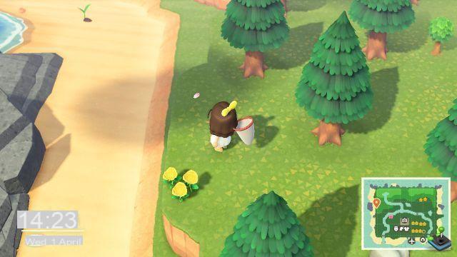 Petali di ciliegio in Animal Crossing, come ottenerli?