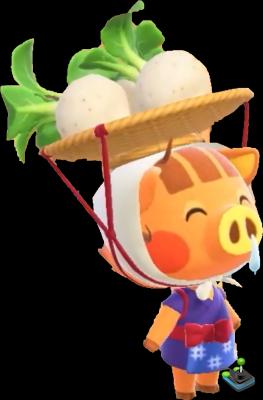Animal Crossing New Horizons: Personajes especiales, lista y descripción