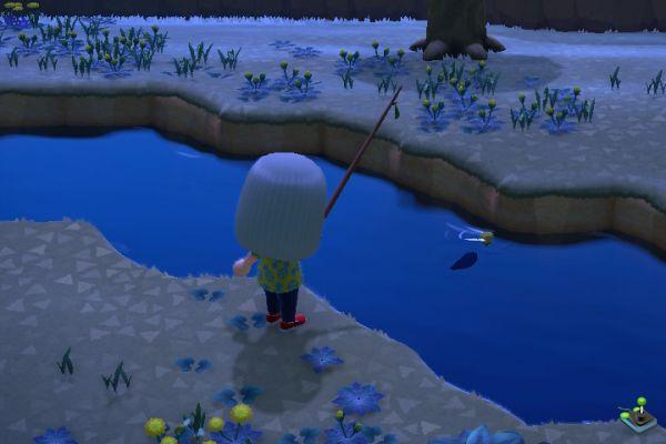 Animal Crossing New Horizons: Golden Trout, where and how to get it, all the info