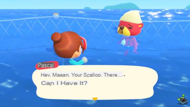 Pascal e le capesante in Animal Crossing: New Horizons