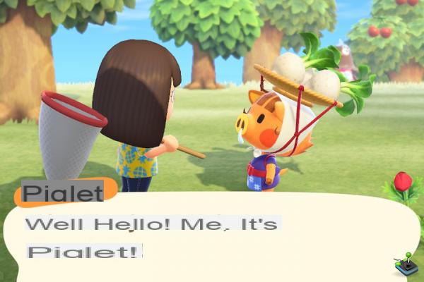 Turnip course in Animal Crossing: New Horizons, all the info