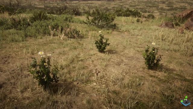 Feverfew locations in Red Dead Redemption 2