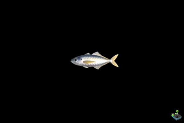 Horse mackerel in Animal Crossing: New Horizons, where to find it?