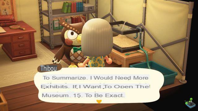 Animal Crossing New Horizons: Museum and Thibou, how to unlock and improve it?