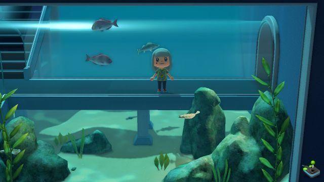 Animal Crossing New Horizons: Museum y Thibou, ¿cómo desbloquearlo y mejorarlo?