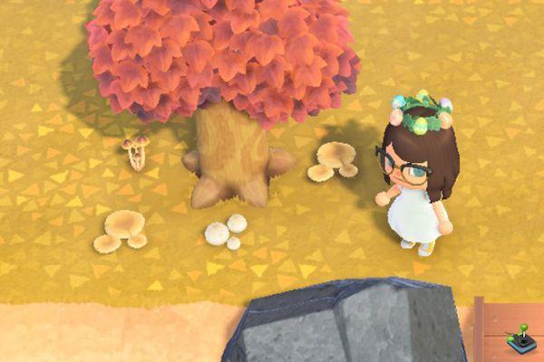 ¿Dónde encontrar setas en Animal Crossing: New Horizons?