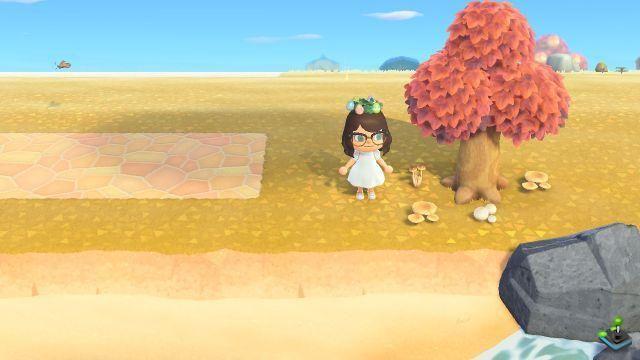 Dove trovare i funghi in Animal Crossing: New Horizons?