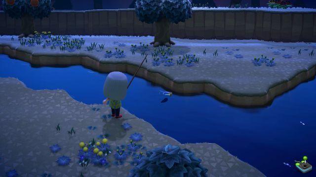 Animal Crossing New Horizons: Pesca, como usar a vara de pescar, guia e dica