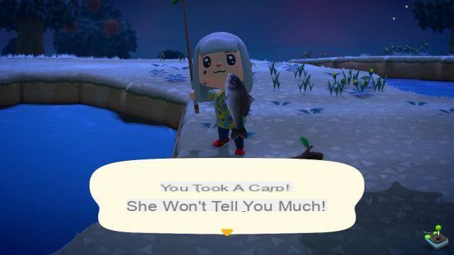 Animal Crossing New Horizons: Fishing, how to use the fishing rod, guide and tip