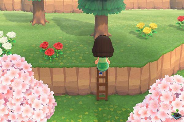Animal Crossing New Horizons: How to climb the cliffs with the ladder?