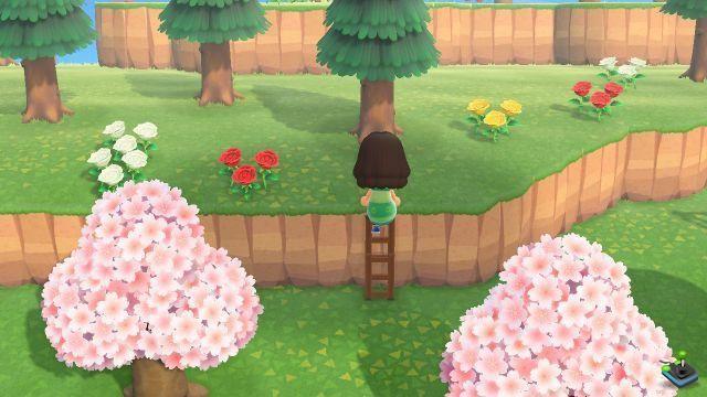 Animal Crossing New Horizons: Como escalar os penhascos com a escada?