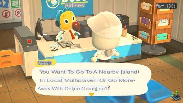 Animal Crossing New Horizons: Playing for two, how does it work?