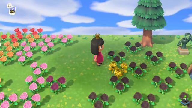 Oro rosa Animal Crossing New Horizon, ¿cómo conseguirlo?