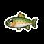 Animal Crossing New Horizons: pesce d'aprile per pescare nell'emisfero settentrionale e meridionale