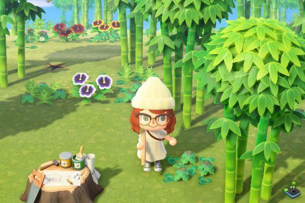 ¿Dónde encontrar bambú en Animal Crossing: New Horizons?