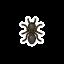 Bug di agosto in Animal Crossing New Horizons, emisfero settentrionale e meridionale