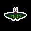 Bug di agosto in Animal Crossing New Horizons, emisfero settentrionale e meridionale
