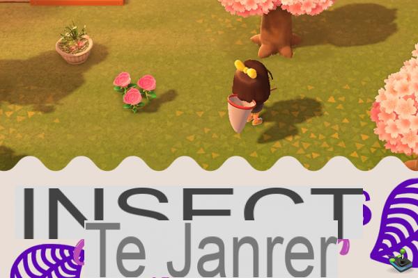 Insects of the month for January in Animal Crossing New Horizons, northern and southern hemisphere