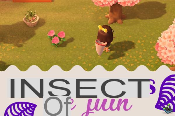 Insectos del mes de junio en Animal Crossing New Horizons, hemisferio norte y sur