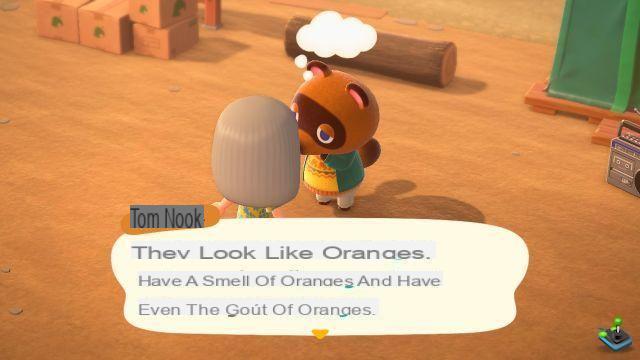 Animal Crossing New Horizons: Tom Nook's initiation seminar, tasks and tests