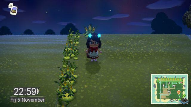 Schistostega Animal Crossing, onde encontrá-lo na New Horizons?