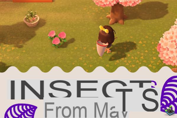 Insectos del mes de mayo en Animal Crossing New Horizons, hemisferio norte y sur