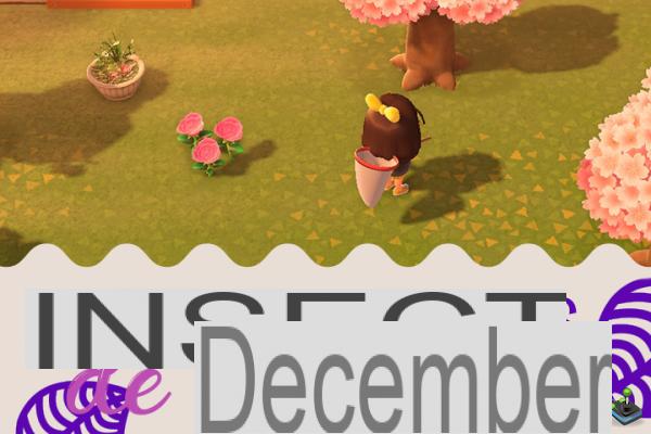 Insectos del mes de diciembre en Animal Crossing New Horizons, hemisferio norte y sur