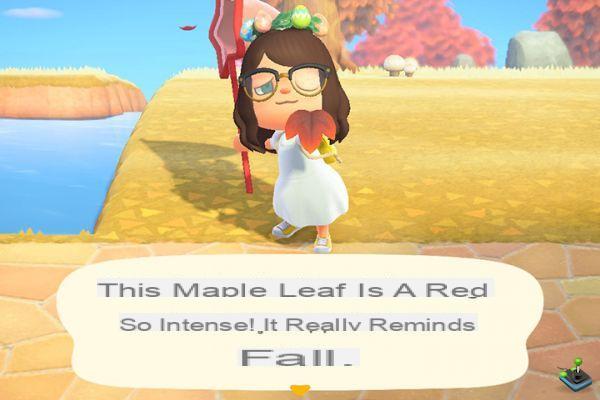 Where to find maple leaves in Animal Crossing: New Horizons?