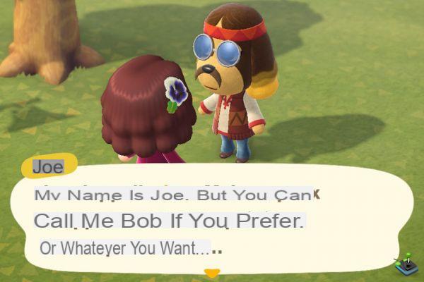Animal Crossing New Horizons: Joe and photopia, how to get to his island?