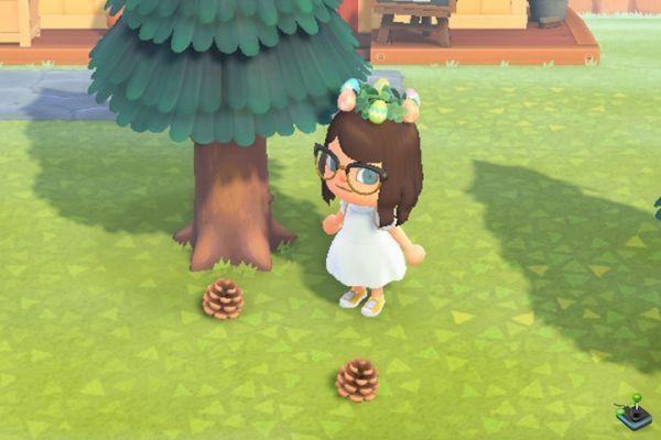 Where to find acorns and pine cones in Animal Crossing: New Horizons?