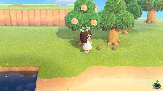 Where to find acorns and pine cones in Animal Crossing: New Horizons?