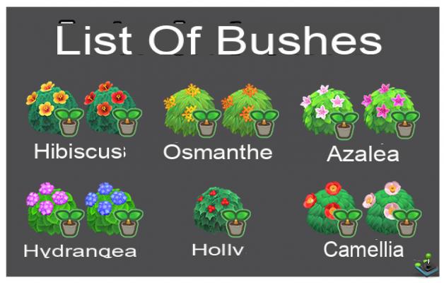 Lista y temporadas de arbustos en Animal Crossing: New Horizons