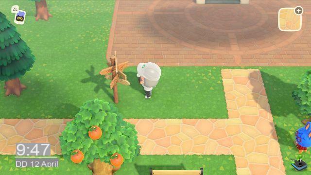 Animal Crossing New Horizons: Exterior layout of the island, how does it work?