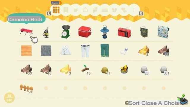 Animal Crossing New Horizons: Store, how to store objects?