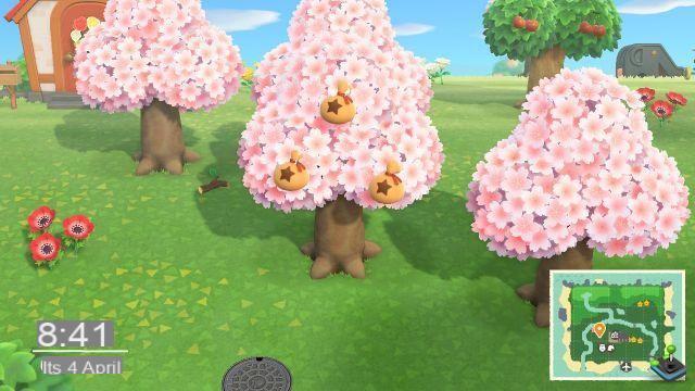 Animal Crossing New Horizons: Árvores de sino, como obtê-las?