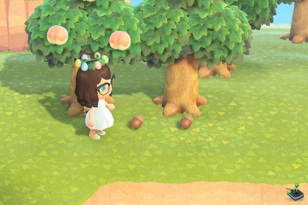 Acorns and pine cones, all DIY plans in Animal Crossing: New Horizons