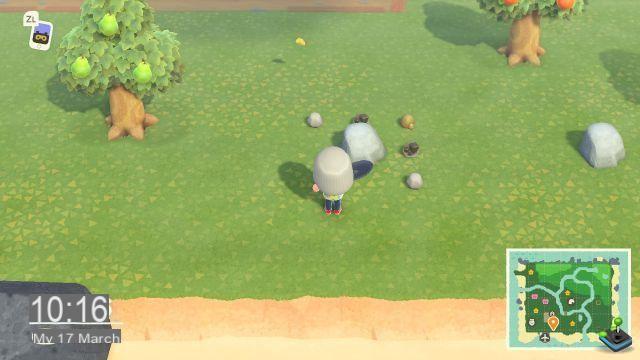 Animal Crossing New Horizons: Materiali, come raccogliere pepite di ferro e d'oro, pietre, legno