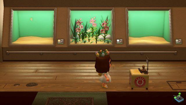 Buffer rally, where to find stations in Animal Crossing: New Horizons, for International Museum Day?