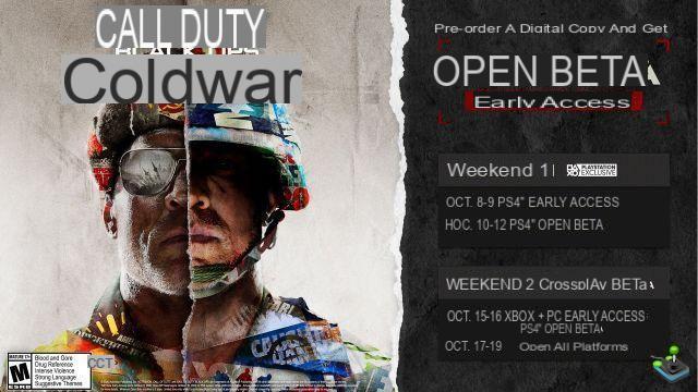 Call of Duty: Black Ops Cold War: How to access the beta?