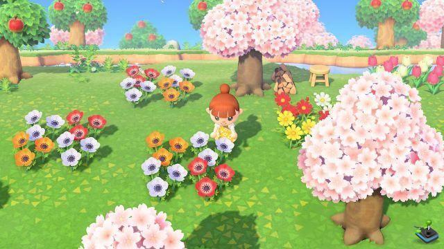 Anêmona de flor Animal Crossing New Horizons, como conseguir uma?
