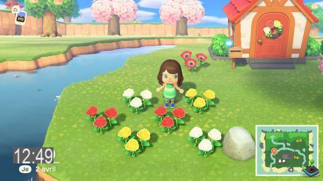 Animal Crossing New Horizons: flores híbridas, todas as cruzes