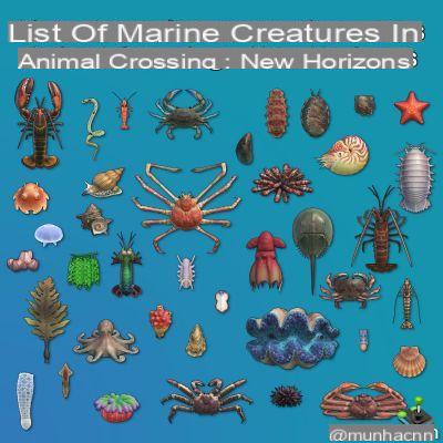 Todas las criaturas marinas en Animal Crossing: New Horizons, lista completa e info